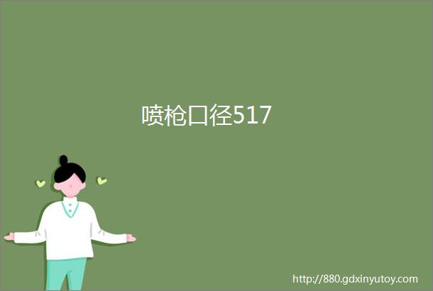 喷枪口径517